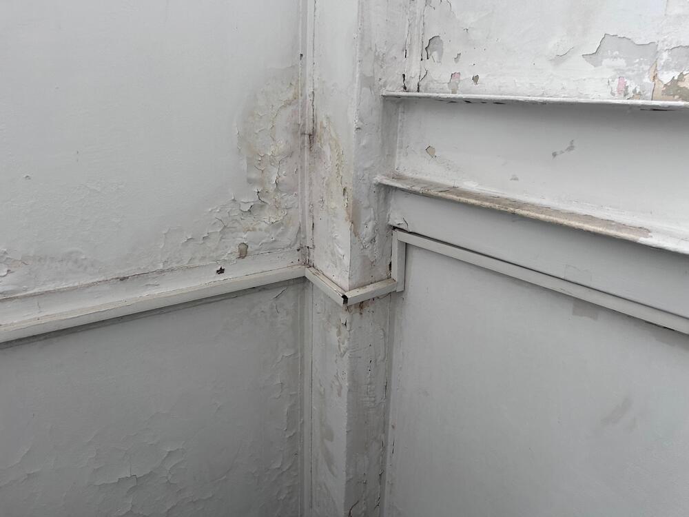 Vlaga vidljiva na svakom ćošku