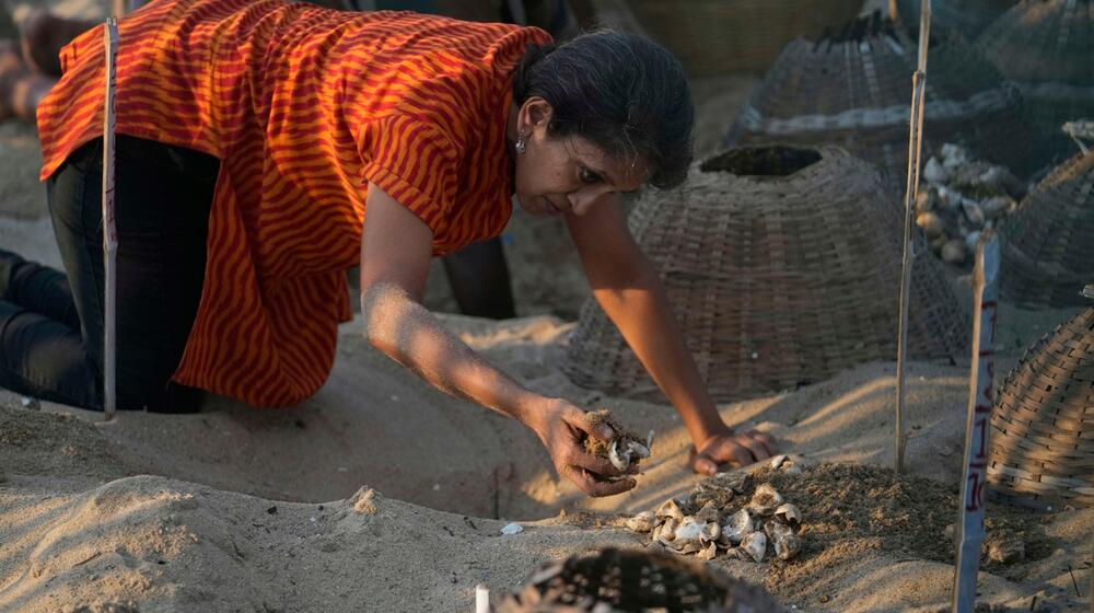<p>"Prelazimo veliki teren, najmanje 30 kilometara, tako što se razbijemo u manje grupe i svaka grupa pješači sedam ili osam kilometara", rekao je volonter po imenu Melvin, koji je rekao samo svoje ime i već nekoliko godina radi sa grupama za zaštitu kornjača</p>