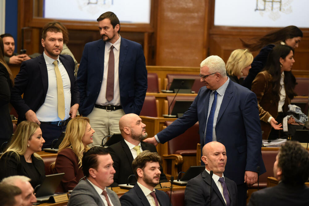 Odluka na poslanicima: Vladi daju odriješene ruke da ugovara povlastice, Foto: Boris Pejović
