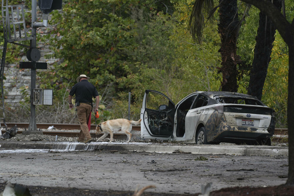 <p>Federalna uprava za vazduhoplovstvo (FAA) identifikovala avion kao Cesnu 310 sa tri osobe u njemu. Srušio se oko 10:20 po lokalnom vremenu poslije polaska sa aerodroma u Boka Ratonu za Talahasi, saopštila je FAA</p>