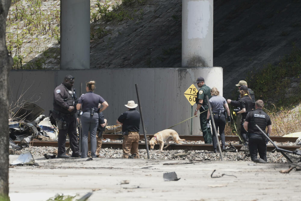 <p>Federalna uprava za vazduhoplovstvo (FAA) identifikovala avion kao Cesnu 310 sa tri osobe u njemu. Srušio se oko 10:20 po lokalnom vremenu poslije polaska sa aerodroma u Boka Ratonu za Talahasi, saopštila je FAA</p>