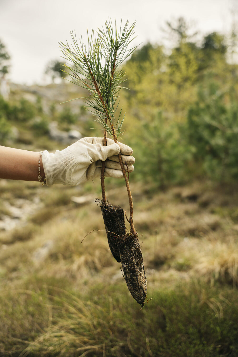 <p>U akciji učestvovalo više od 60 volontera, predvođenih Savezom izviđača Crne Gore</p>