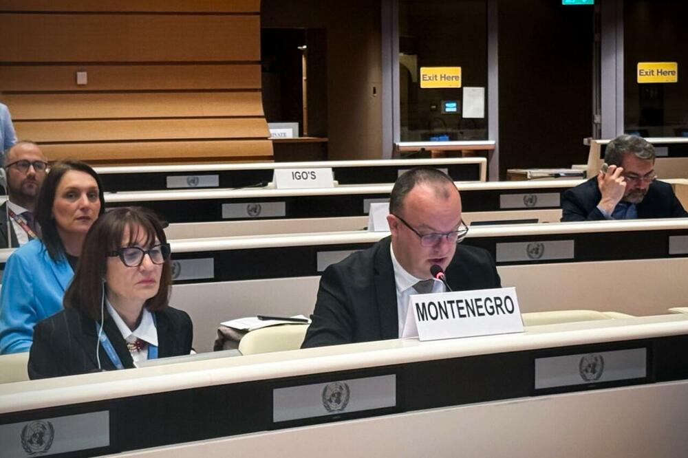 Foto: Ministarstvo ekologije, održivog razvoja i razvoja sjevera