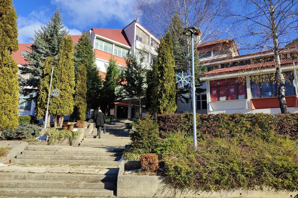 Detalj iz Plužina, Foto: Svetlana Mandić