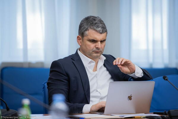 Čapuni: Ako samo jedna primorska opština može postati grad,...