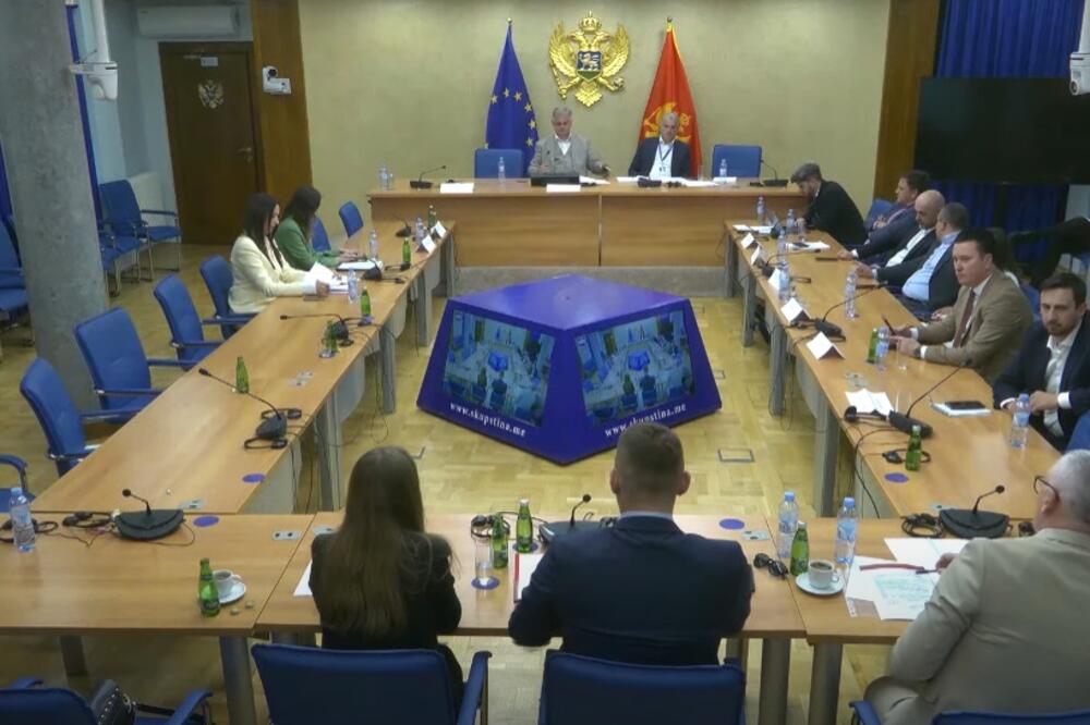 Sa sjednice Zakonodavnog odbora, Foto: Screenshot/YouTube/Skuština Crne Gore