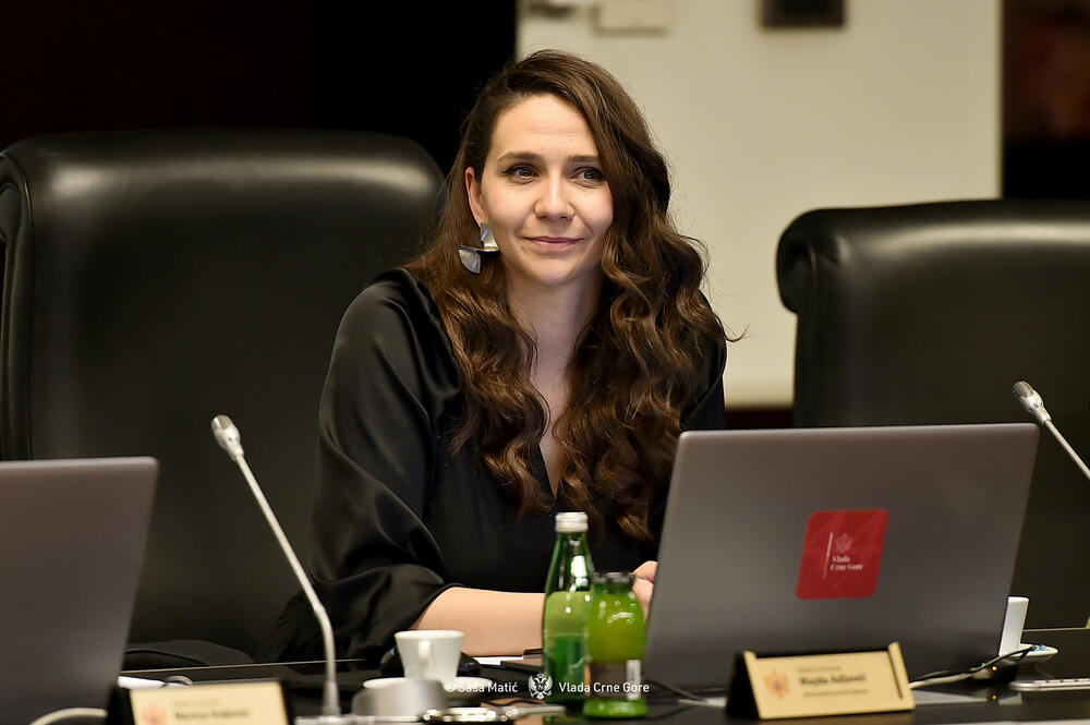 Adžović: Crna Gora bira evropski put rasta i razvoja