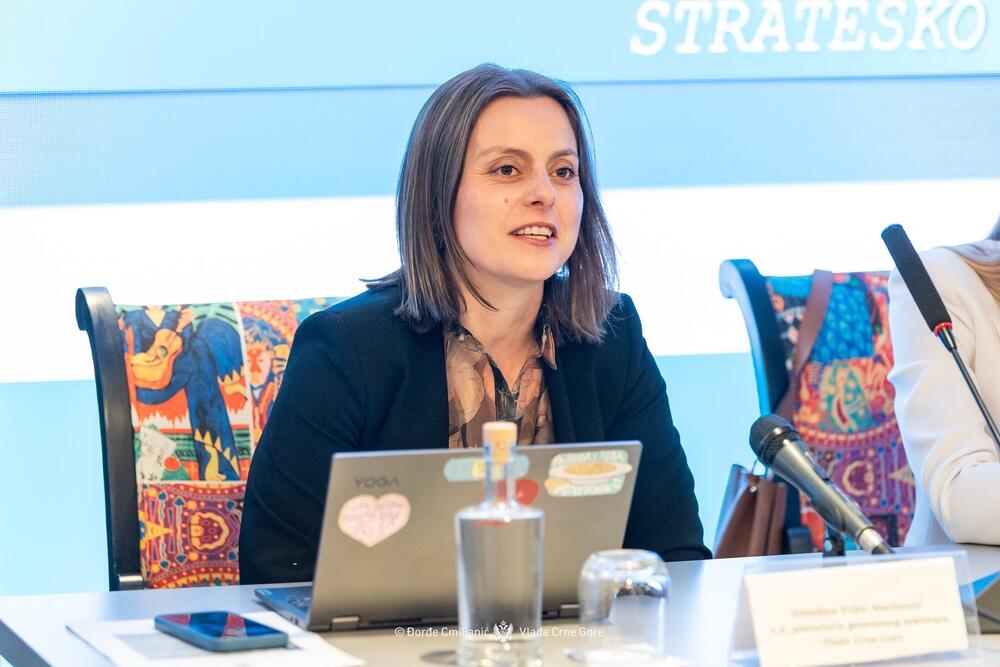 <p>Generalni sekretarijat Vlade i Uprava za ljudske resurse su obilježili početak realizacije šestog ciklusa Programa obrazovanja za stručno usavršavanje državnih službenica i službenika za strateško planiranje</p>