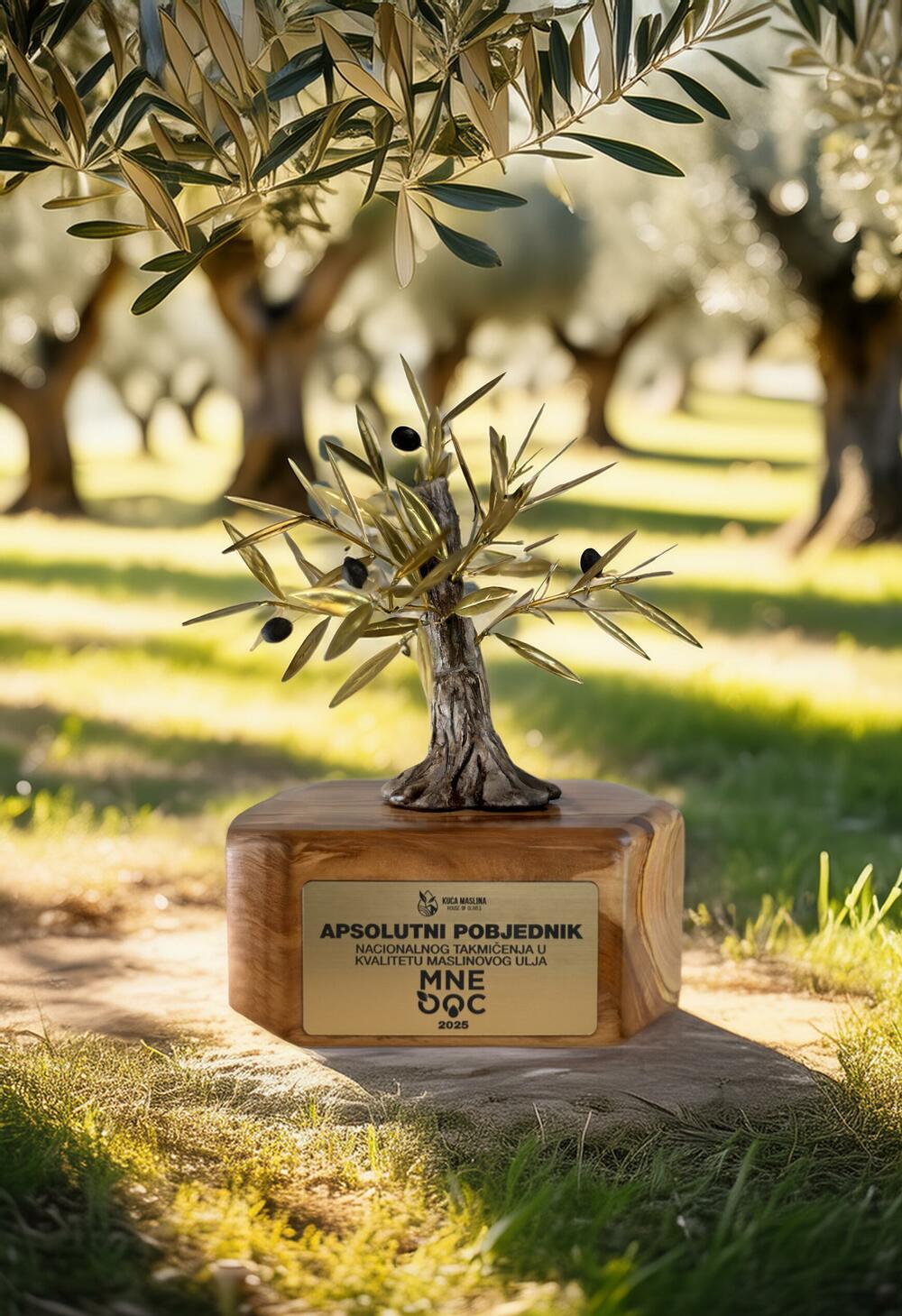 <p><em>Uljara Lučka apsolutni pobjednik nacionalnog takmičenja u kvalitetu maslinovih ulja.</em></p>