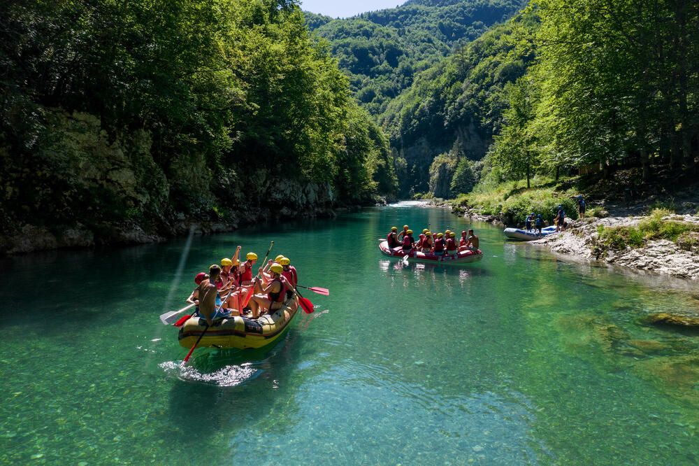 Detalj iz NP Durmitor, Foto: NPCG