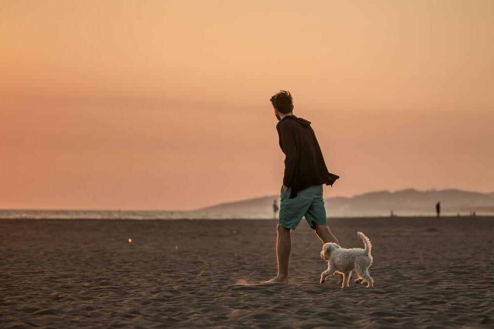 Ilustracija, Foto: Danilo Novović