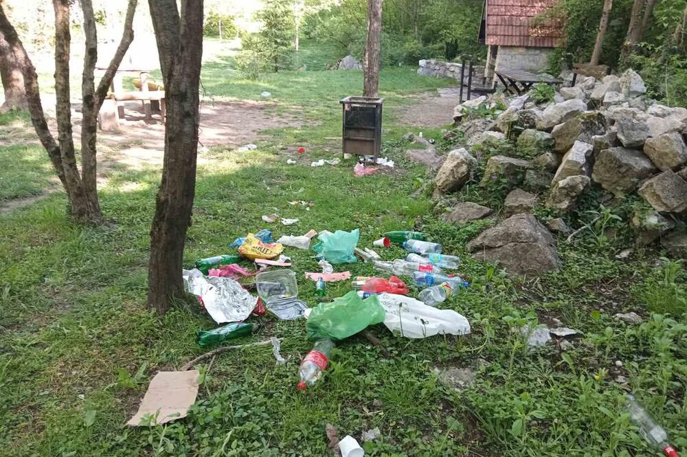 Foto: Društvo mladih ekologa Nikšić