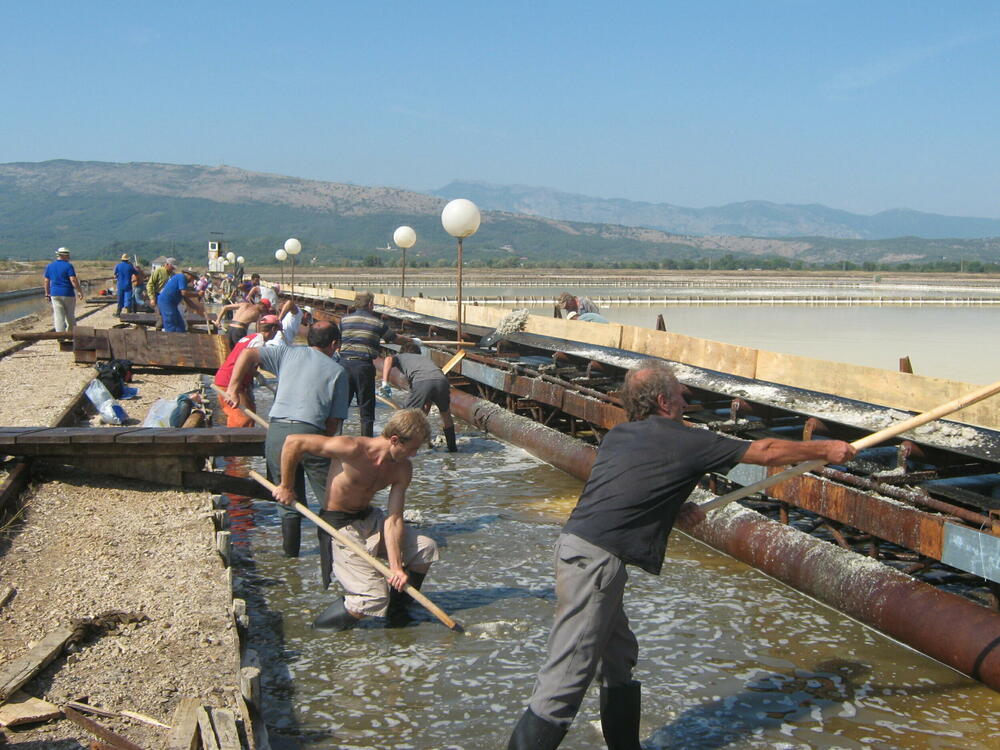 Posljednja berba soli bila 2013. (ilustracija)