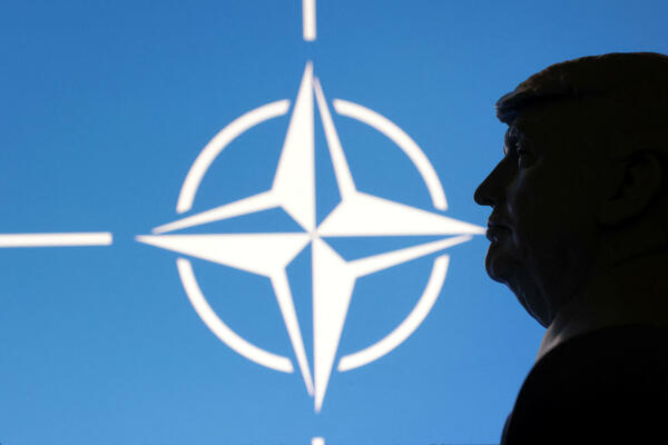 NATO u trampozoiku