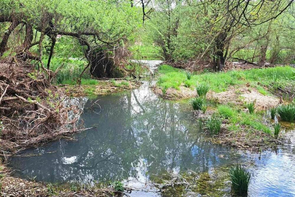Mjesto gdje se otpadne vode ulivaju u Zetu, Foto: Svetlana Mandić