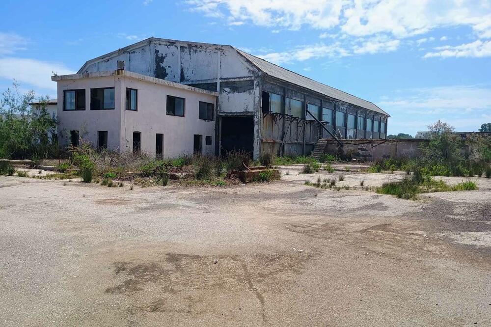 Foto: Samir Adrović