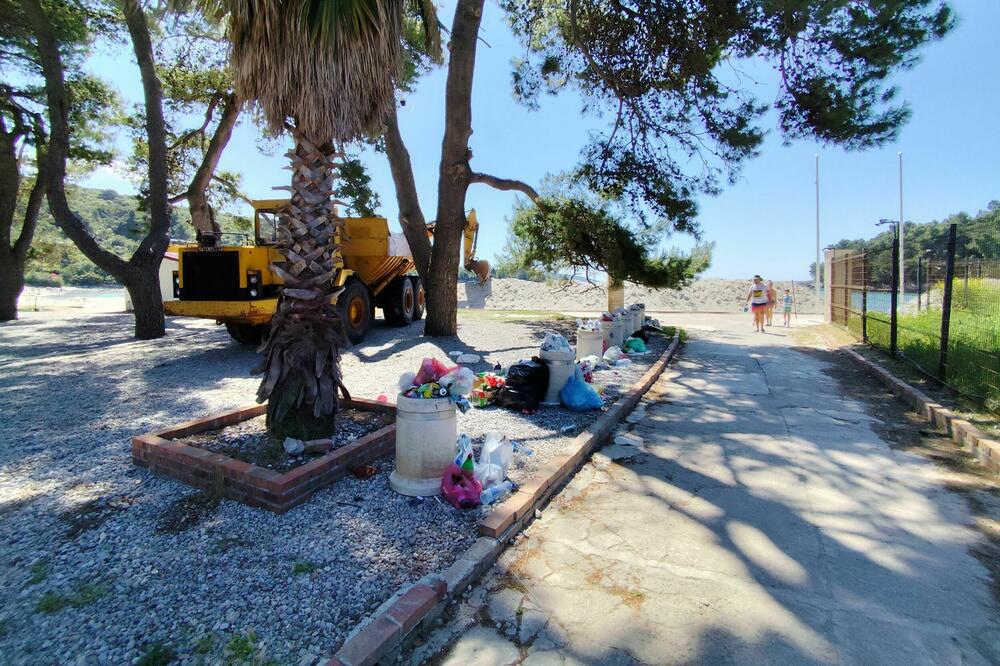 Plavi horizonti na početku sezone, Foto: Siniša Luković