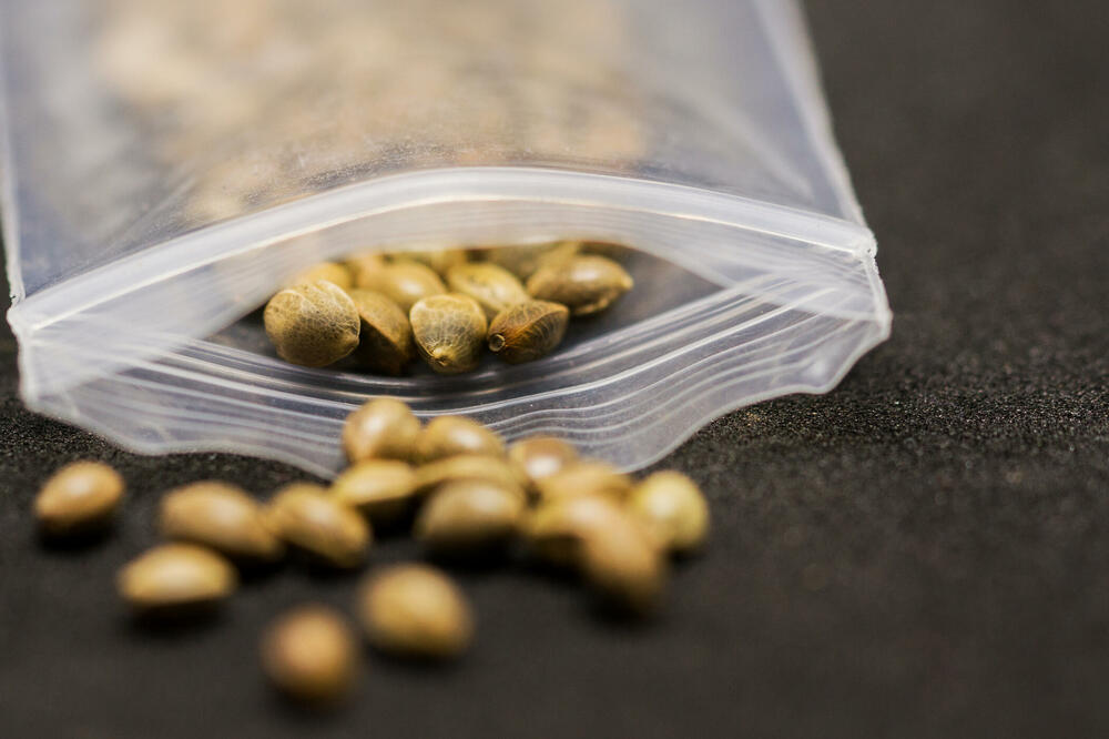 Ilustracija, Foto: Shutterstock