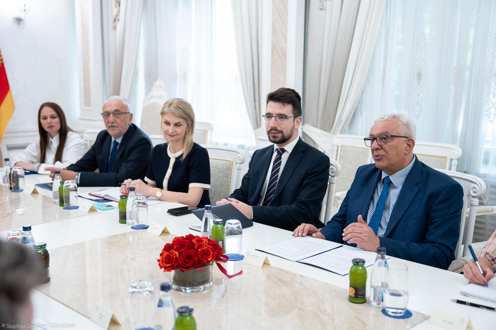 Detalj sa sastanka, Foto: Skupština Crne Gore/I. Šljivančanin