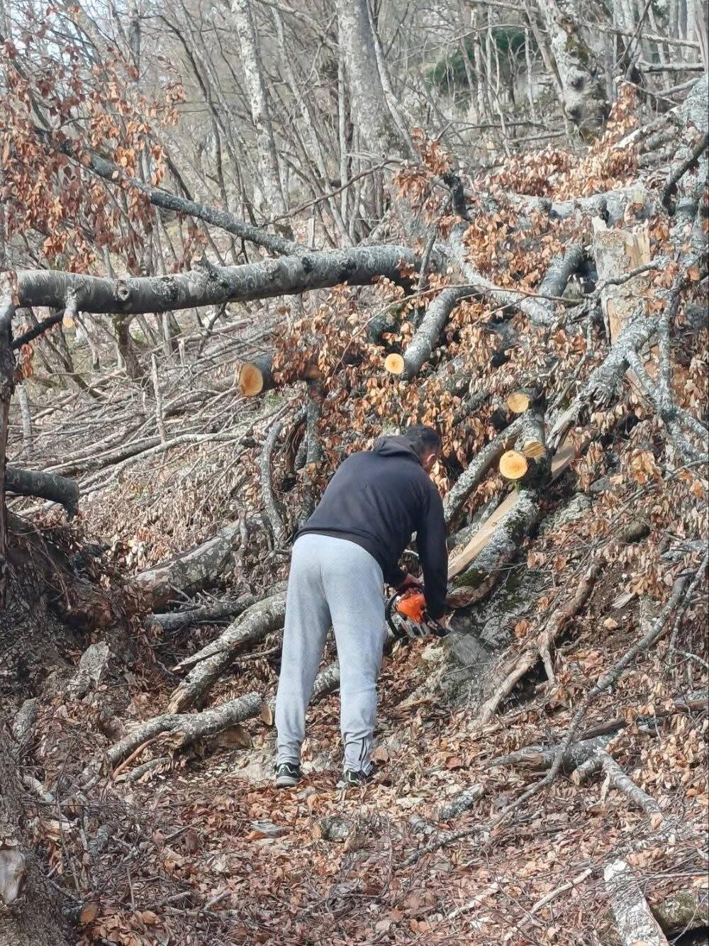 <p>Nastaviće sa obnavljanjem parkovskog mobilijara, turističke signalizacije, info tabli...</p>