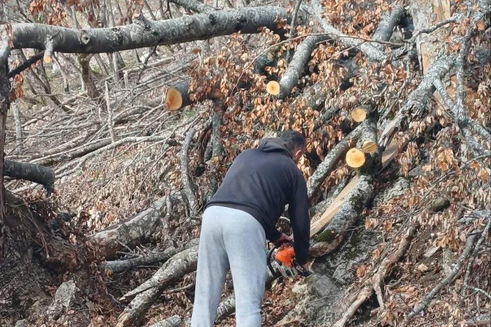 Foto: Park prirode Piva