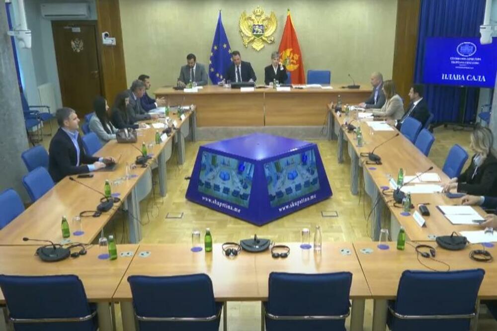 Foto: Skupština Crne Gore/Youtube