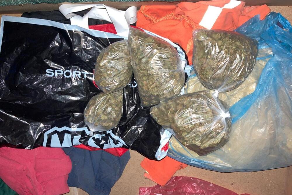 Pronađena marihuana, Foto: Uprava policije
