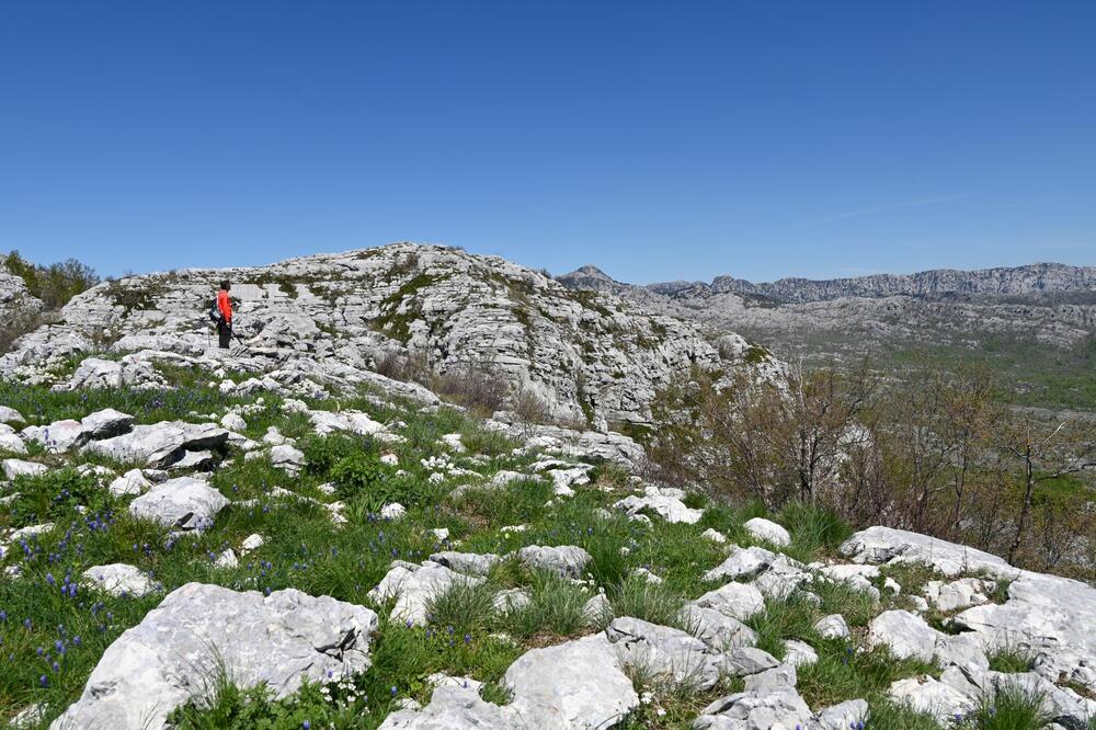 Foto: Jasna Gajević