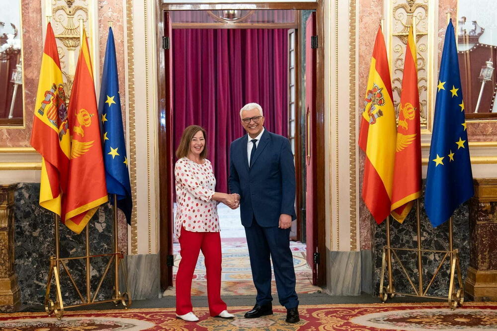 Andrija Mandić u Madridu, Foto: Skupština Crne Gore