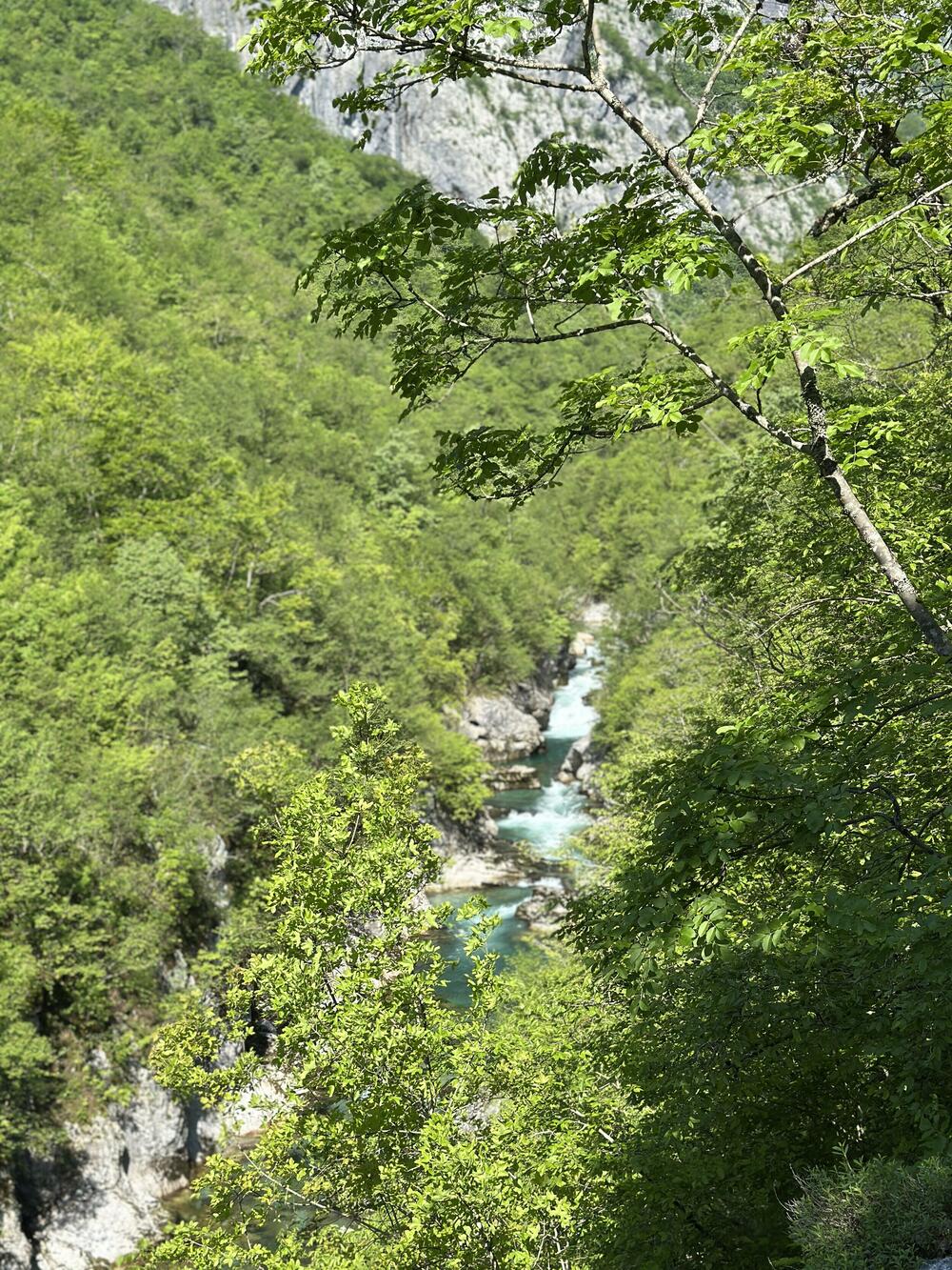 <p>Dug je spisak razloga da država taj dio kolašinske opštine zaštiti. Formalna zaštita bila bi brana svemu što može naštetiti, surovom, ali pred nebrigom i nezanjem, krhkom prirodnom sistemu</p>