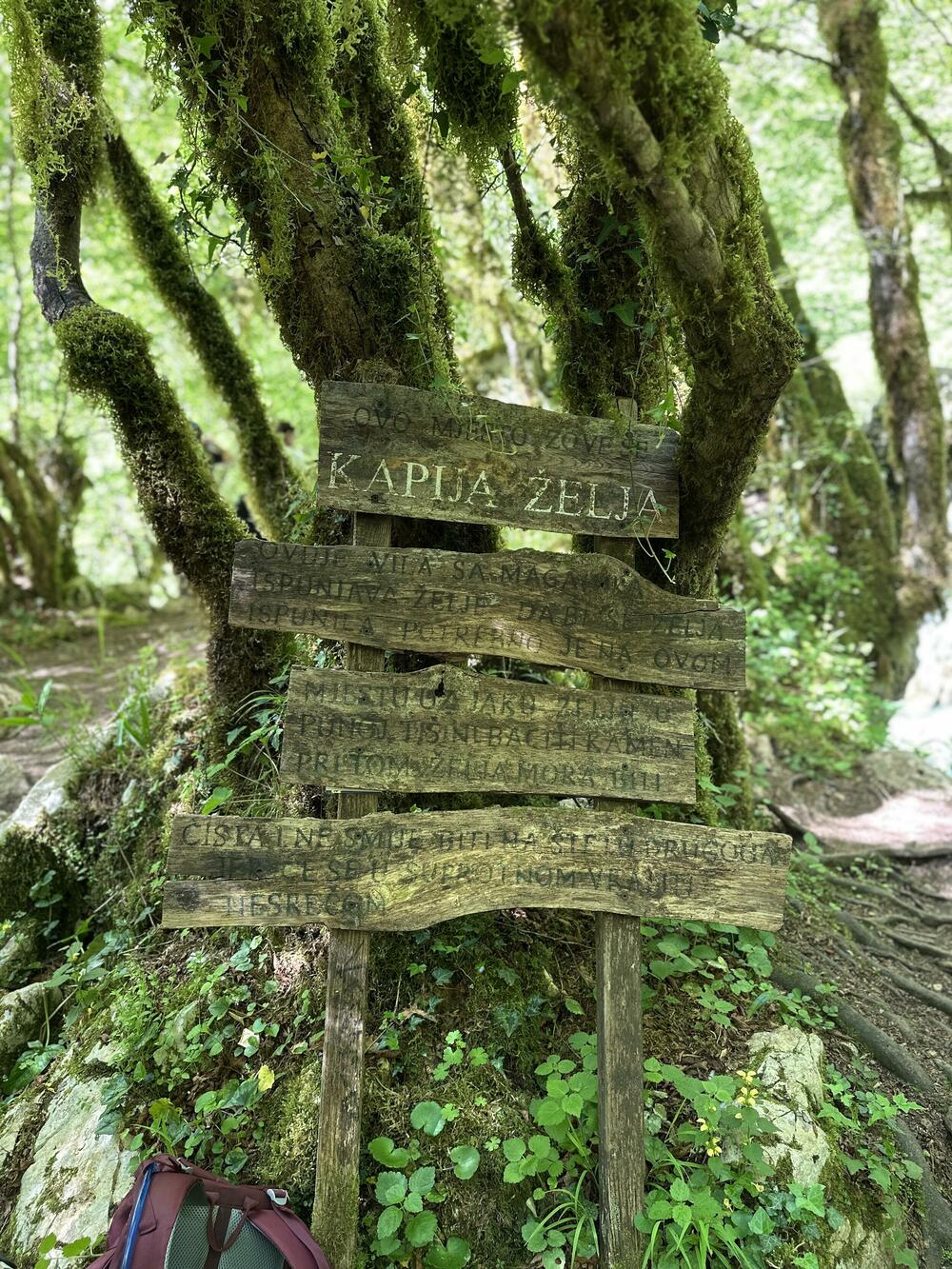 <p>Dug je spisak razloga da država taj dio kolašinske opštine zaštiti. Formalna zaštita bila bi brana svemu što može naštetiti, surovom, ali pred nebrigom i nezanjem, krhkom prirodnom sistemu</p>