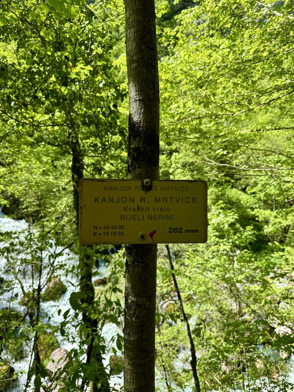 <p>Dug je spisak razloga da država taj dio kolašinske opštine zaštiti. Formalna zaštita bila bi brana svemu što može naštetiti, surovom, ali pred nebrigom i nezanjem, krhkom prirodnom sistemu</p>