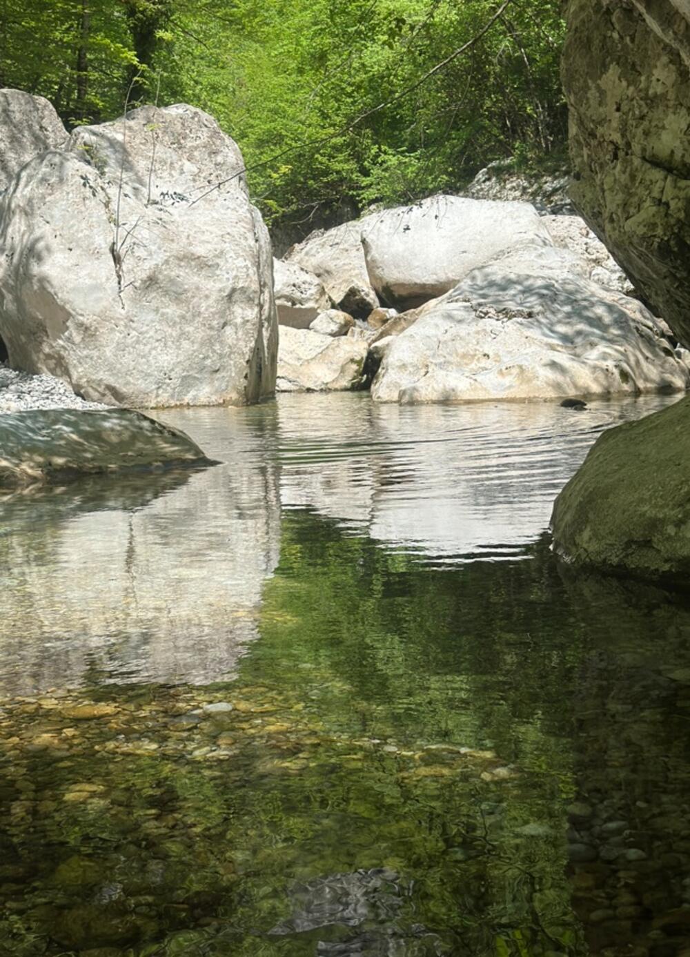 <p>Dug je spisak razloga da država taj dio kolašinske opštine zaštiti. Formalna zaštita bila bi brana svemu što može naštetiti, surovom, ali pred nebrigom i nezanjem, krhkom prirodnom sistemu</p>