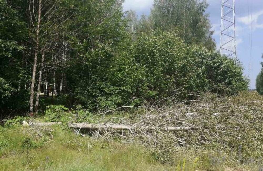 <p>"Mi mještani Gornjih Brezana već godinama trpimo nezakonito i diskriminatorno ponašanje energetskih kompanija, na čelu sa državnim CGES-om", navodi se u pismu</p>