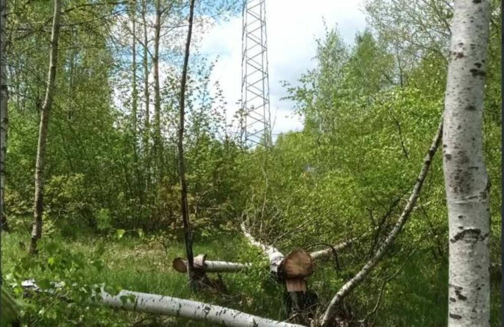 <p>"Mi mještani Gornjih Brezana već godinama trpimo nezakonito i diskriminatorno ponašanje energetskih kompanija, na čelu sa državnim CGES-om", navodi se u pismu</p>