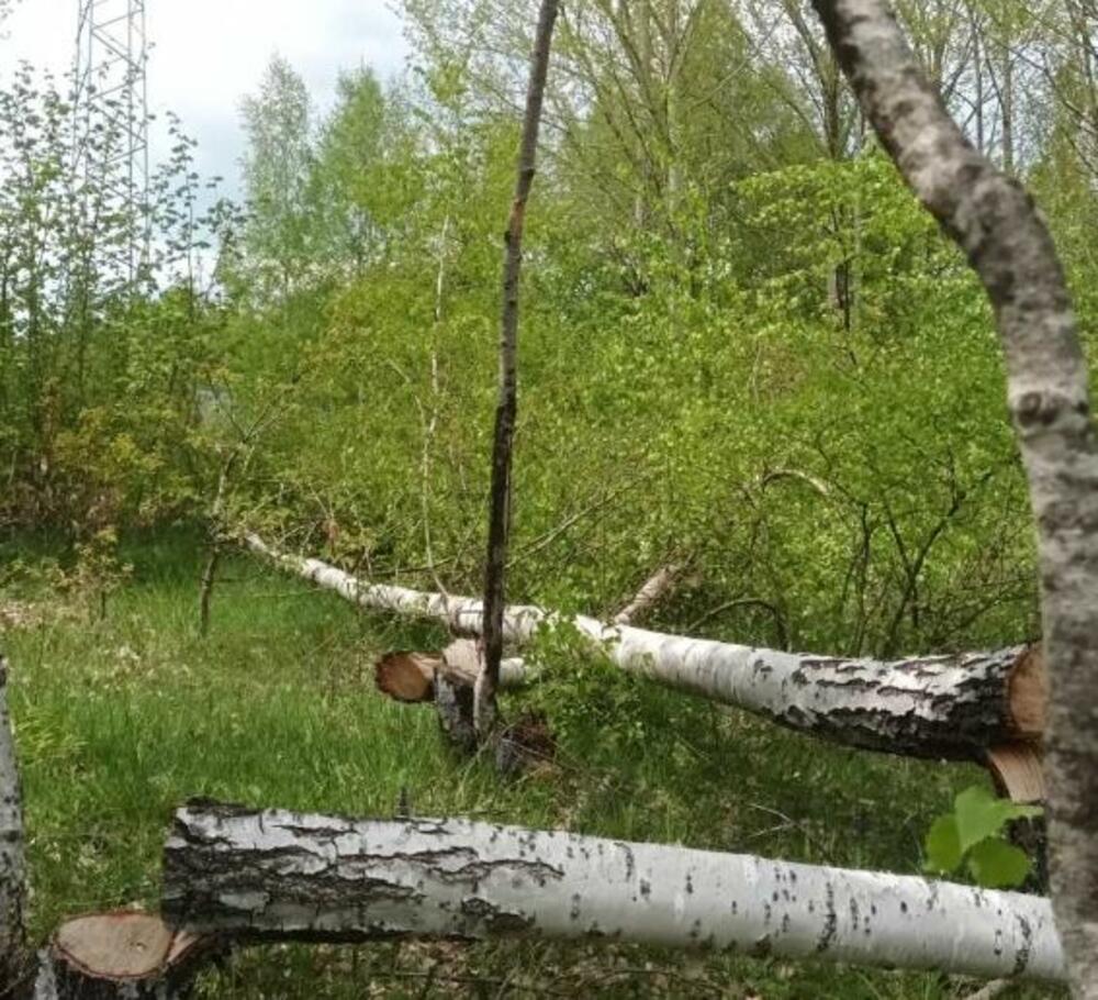 <p>"Mi mještani Gornjih Brezana već godinama trpimo nezakonito i diskriminatorno ponašanje energetskih kompanija, na čelu sa državnim CGES-om", navodi se u pismu</p>