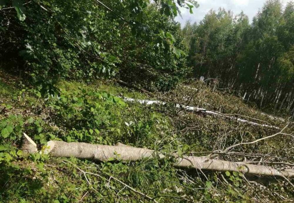 <p>"Mi mještani Gornjih Brezana već godinama trpimo nezakonito i diskriminatorno ponašanje energetskih kompanija, na čelu sa državnim CGES-om", navodi se u pismu</p>