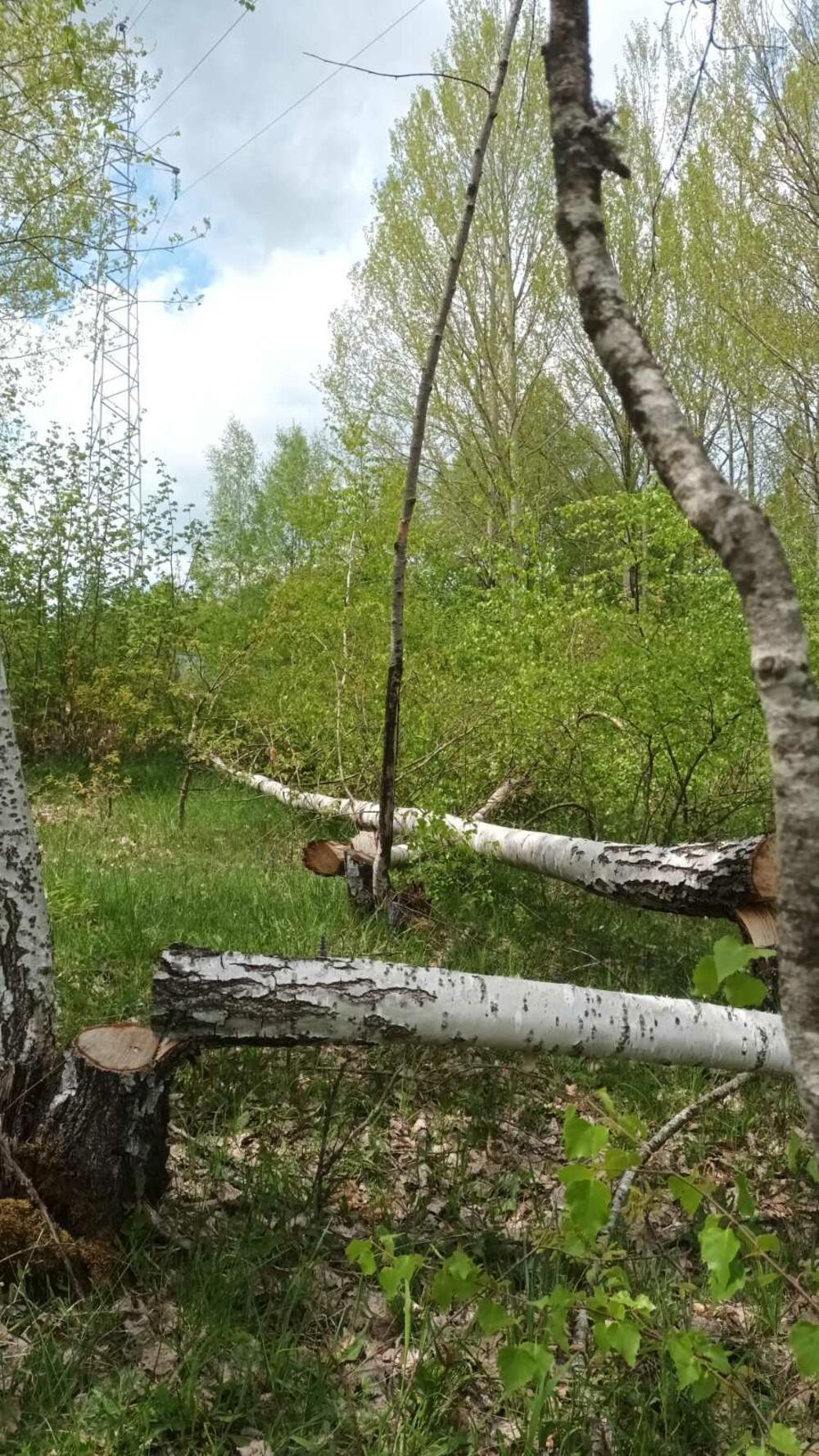 <p>"Mi mještani Gornjih Brezana već godinama trpimo nezakonito i diskriminatorno ponašanje energetskih kompanija, na čelu sa državnim CGES-om", navodi se u pismu</p>