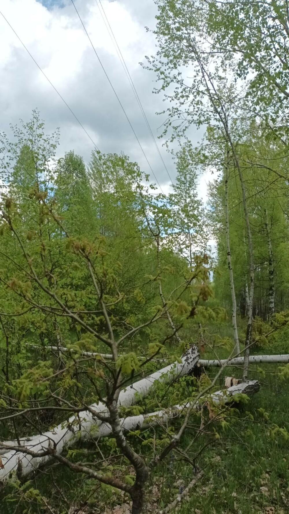 <p>"Mi mještani Gornjih Brezana već godinama trpimo nezakonito i diskriminatorno ponašanje energetskih kompanija, na čelu sa državnim CGES-om", navodi se u pismu</p>