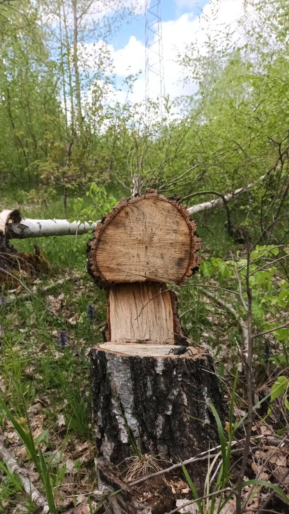 <p>"Mi mještani Gornjih Brezana već godinama trpimo nezakonito i diskriminatorno ponašanje energetskih kompanija, na čelu sa državnim CGES-om", navodi se u pismu</p>