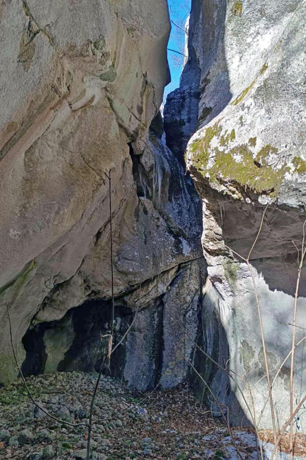 <p>Organizovana tribina „Zaštita životne sredine i promocija nove turističke destinacije opštine Nikšić"</p>