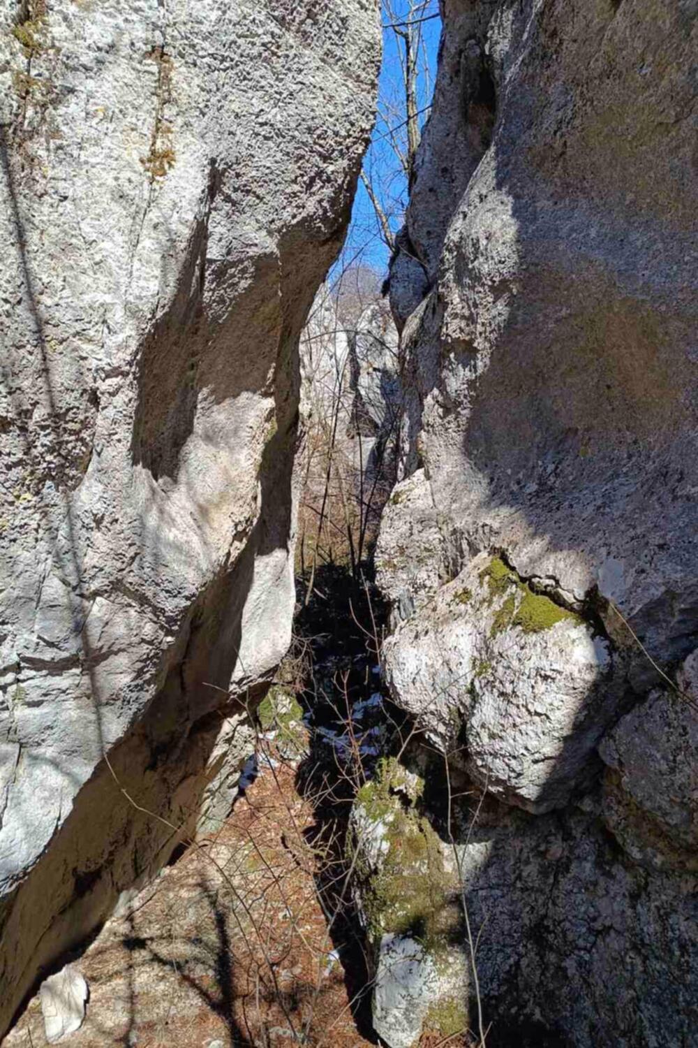 <p>Organizovana tribina „Zaštita životne sredine i promocija nove turističke destinacije opštine Nikšić"</p>