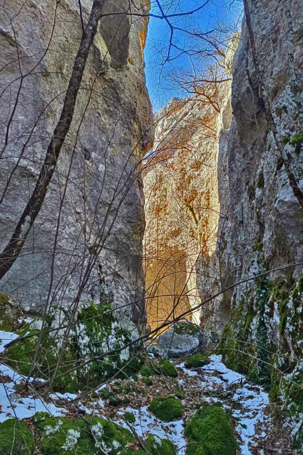 <p>Organizovana tribina „Zaštita životne sredine i promocija nove turističke destinacije opštine Nikšić"</p>