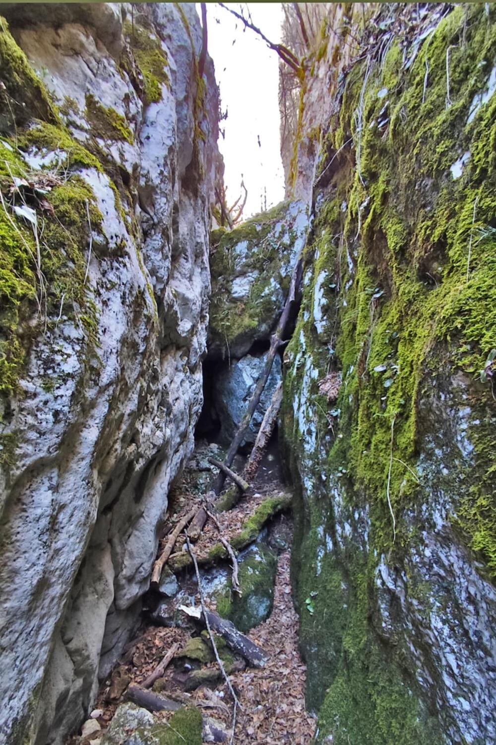 <p>Organizovana tribina „Zaštita životne sredine i promocija nove turističke destinacije opštine Nikšić"</p>