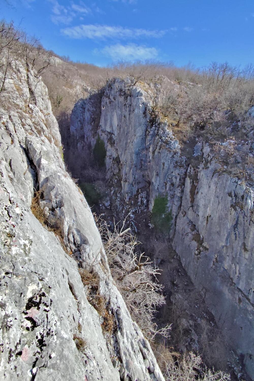 <p>Organizovana tribina „Zaštita životne sredine i promocija nove turističke destinacije opštine Nikšić"</p>