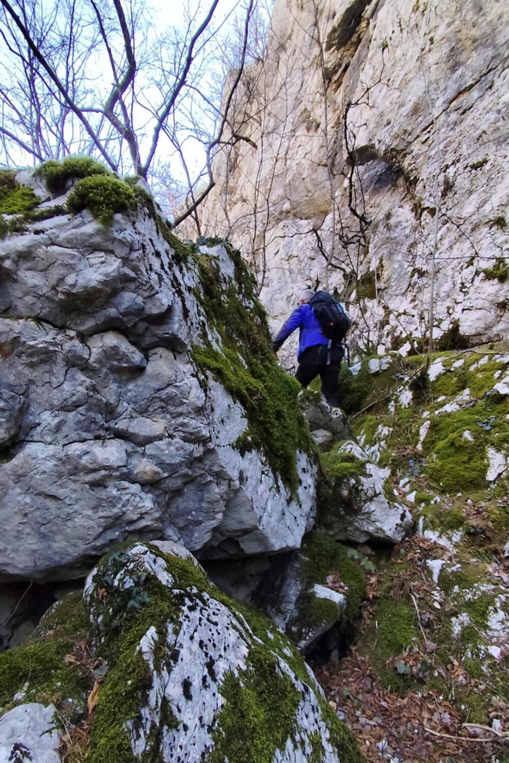 <p>Organizovana tribina „Zaštita životne sredine i promocija nove turističke destinacije opštine Nikšić"</p>