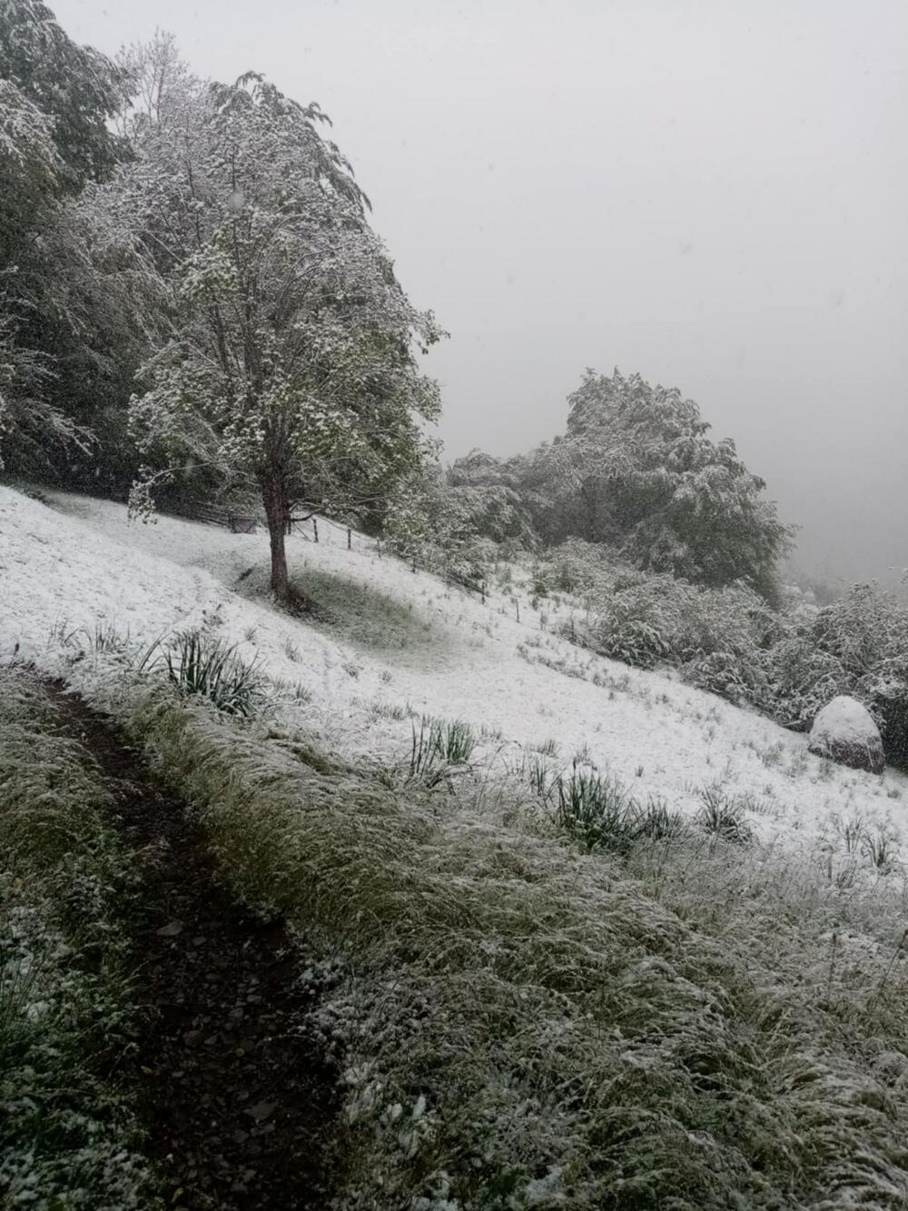 <p>Rijetki su stočari koji su već stigli do katuna; većina za “izdig” čeka stabilizaciju vremena. No, i oni koji su se zatekli na planini objašnjavaju da su navikli na ćudljivosti kolašinskog proljeća i da “maj zna da prevari”</p>