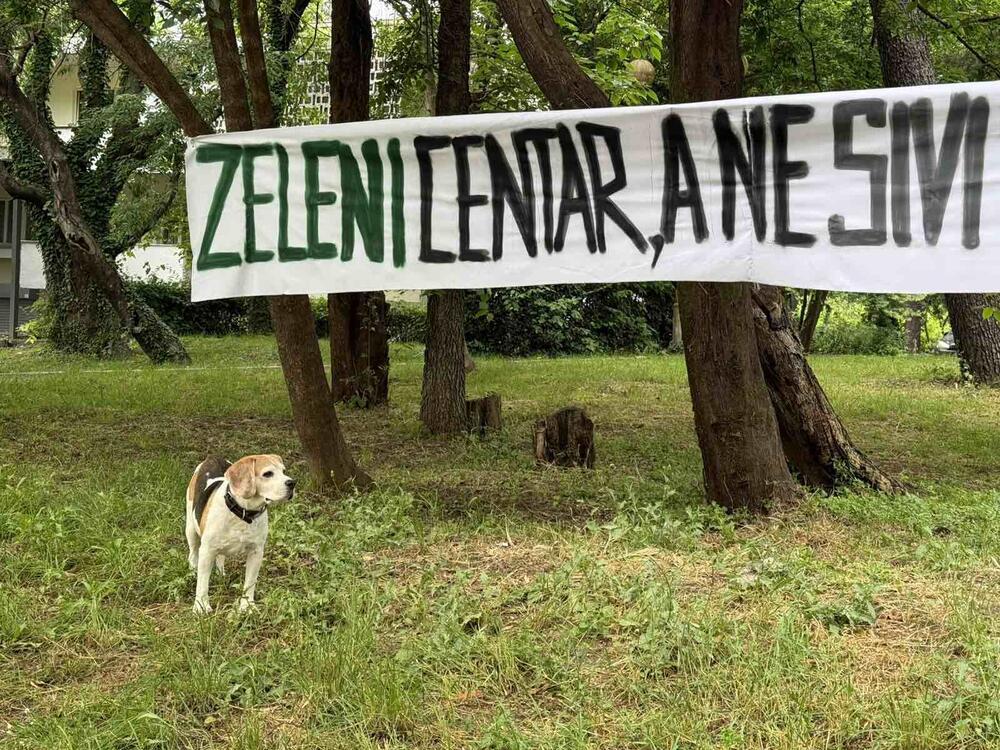 <p>“Okupili smo se ovdje, iako je investitorima odavno rečeno da obustave radove u ovom dijelu grada. Uprkos tome, oni su se pojavili prošle sedmice i počeli da rade”, kazao je Radović</p>