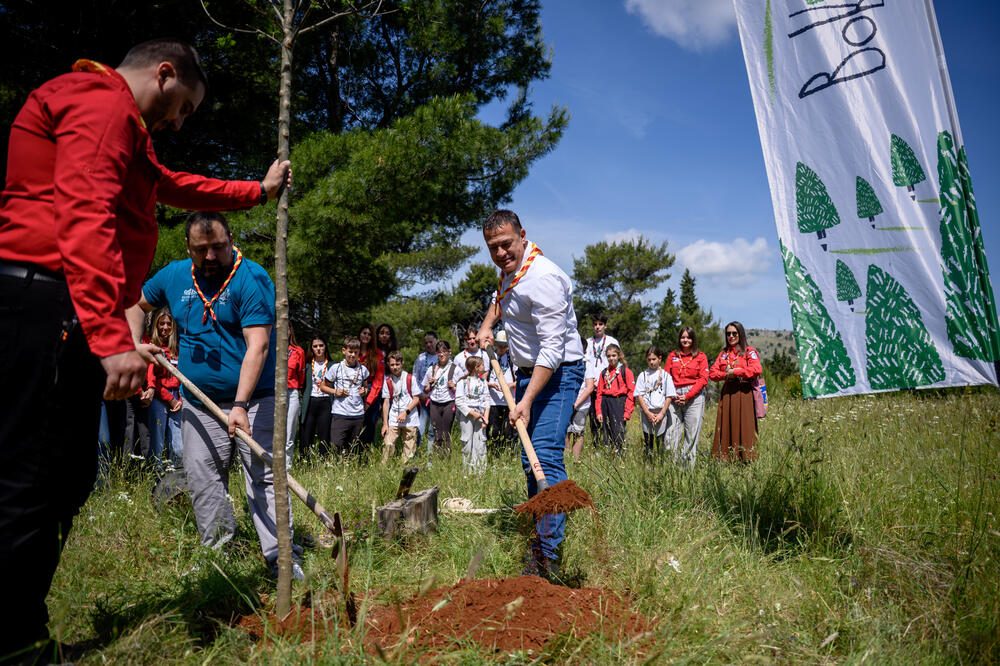 <p>Boranka je više od sadnje novih stabala – ona je čin ljubavi prema prirodi, zajedništva i odgovornosti</p>
