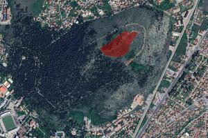 Planiraju da obnove opožareni dio Gorice